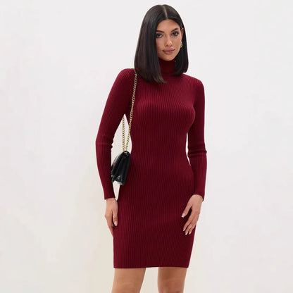 Women's Knit Dress – Ribbed Knit – Slim Fit – Turtleneck – Long-Sleeved Mini