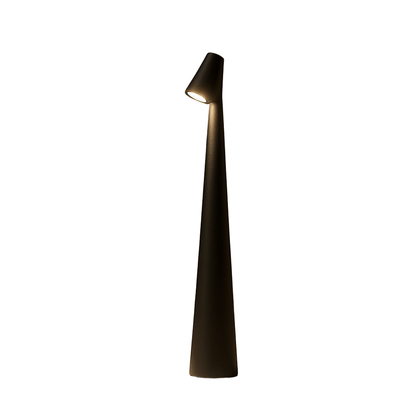 Modern Rechargeable Table Lamp with Directional Light