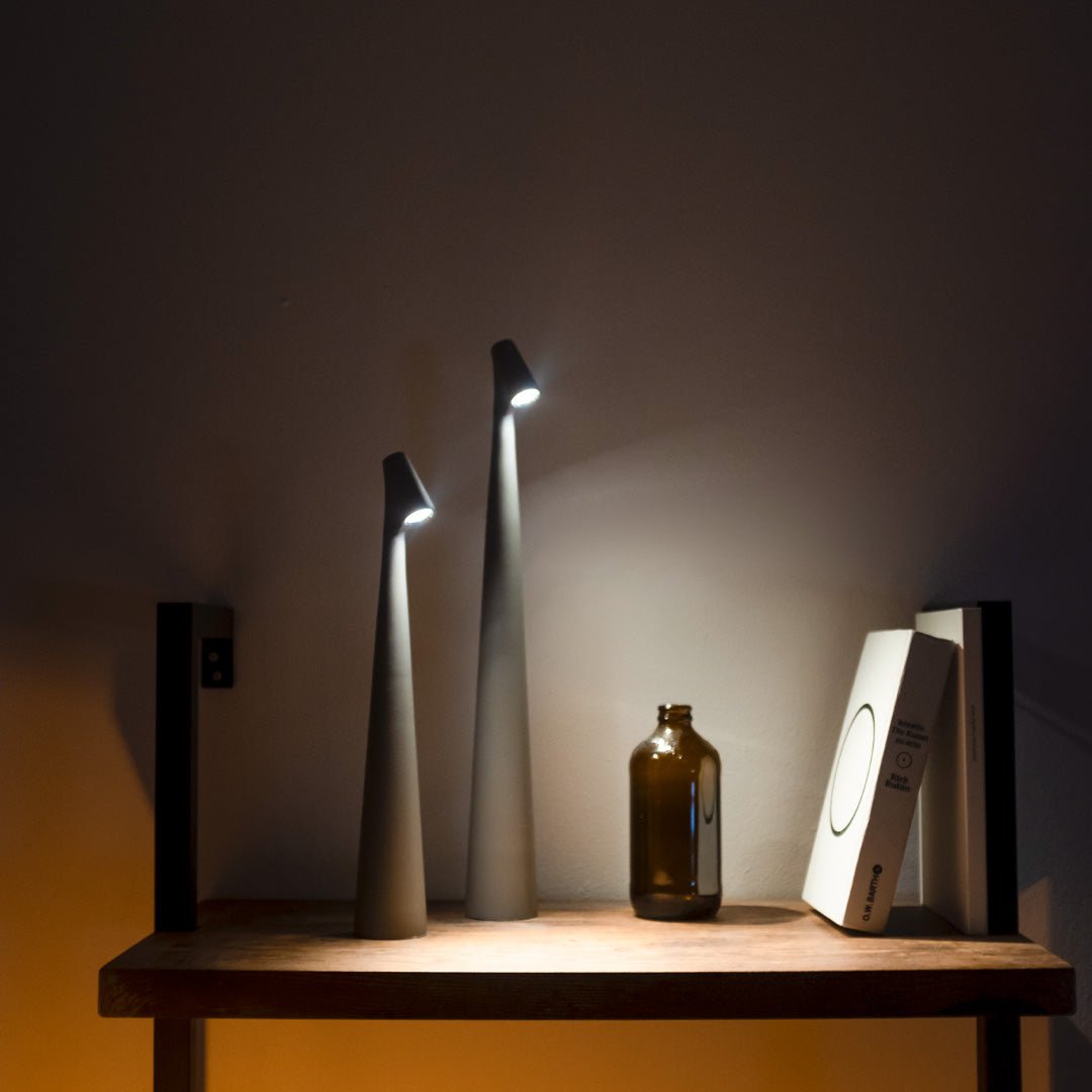 Modern Rechargeable Table Lamp with Directional Light