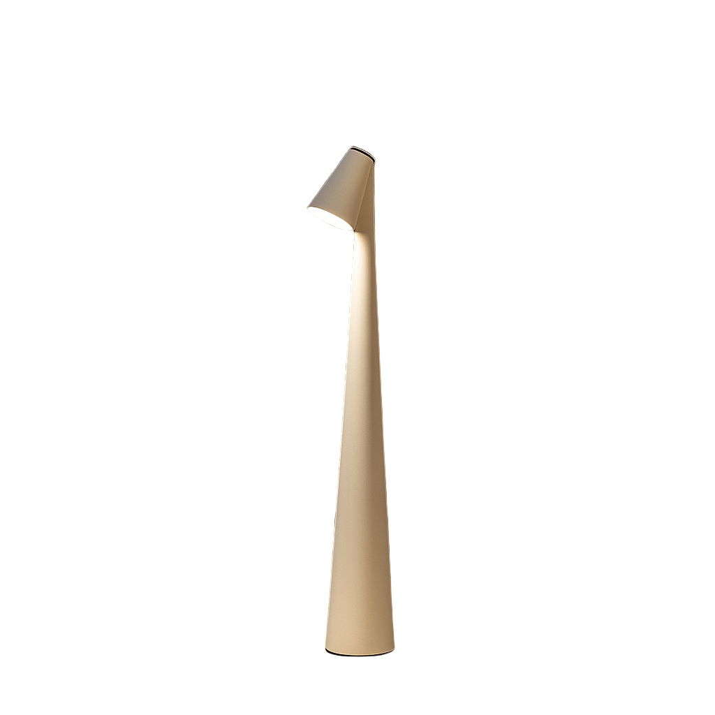 Modern Rechargeable Table Lamp with Directional Light